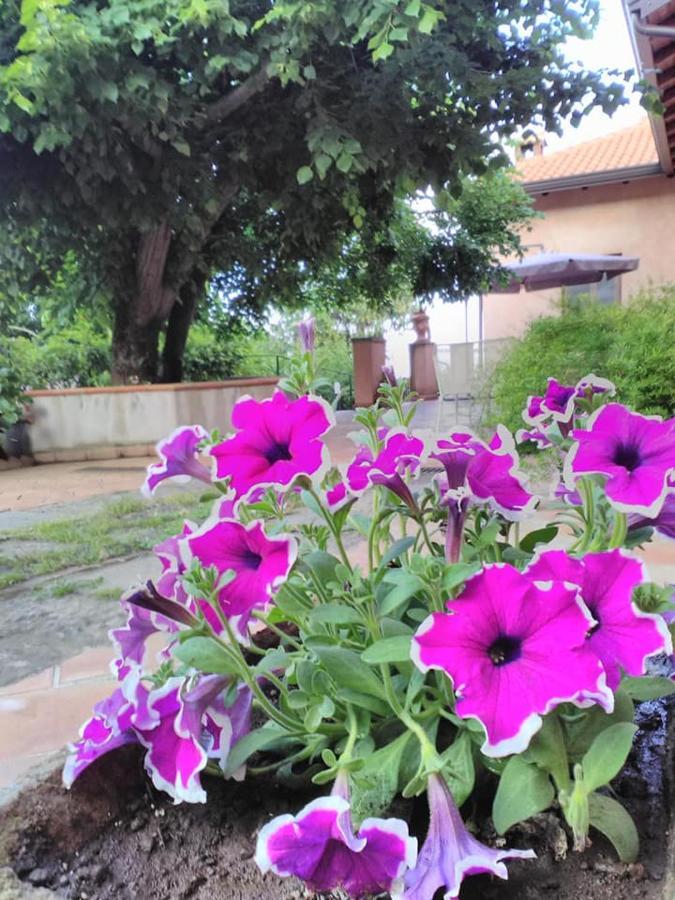 La Corte Di Bafe B&B "Slow Life" Zafferana Etnea Ngoại thất bức ảnh
